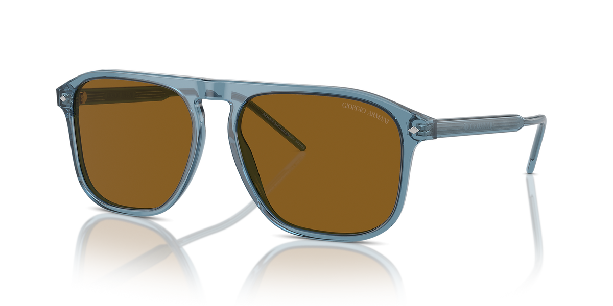 AR8212 Giorgio Armani Blue/Brown L