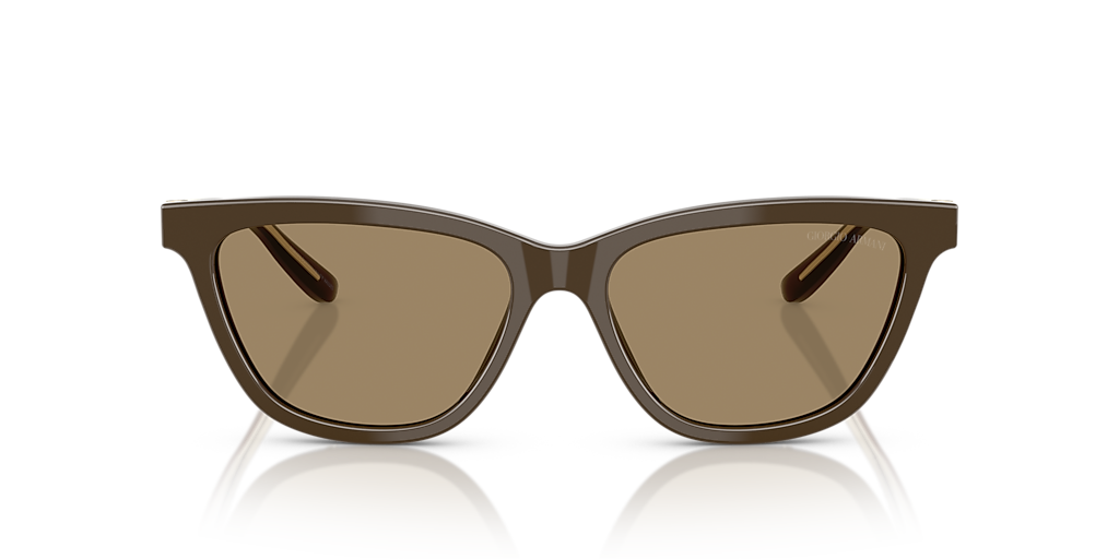 AR8221 بني/بني XXL