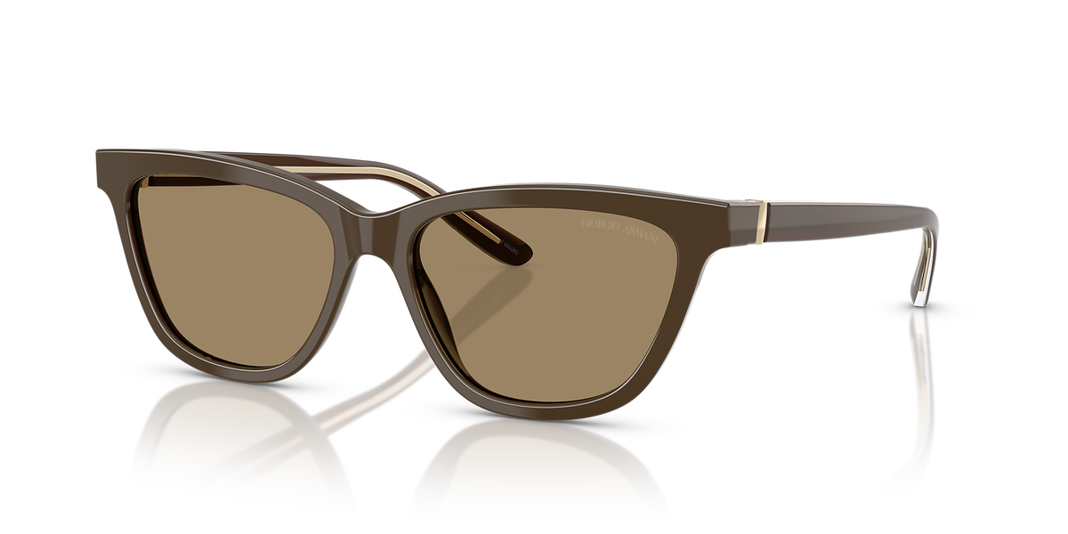AR8221 بني/بني XXL