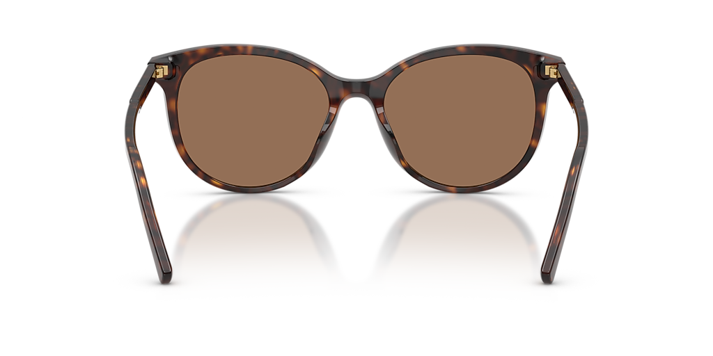 DG4540 Dolce&Gabanna Tortoise/Brown L