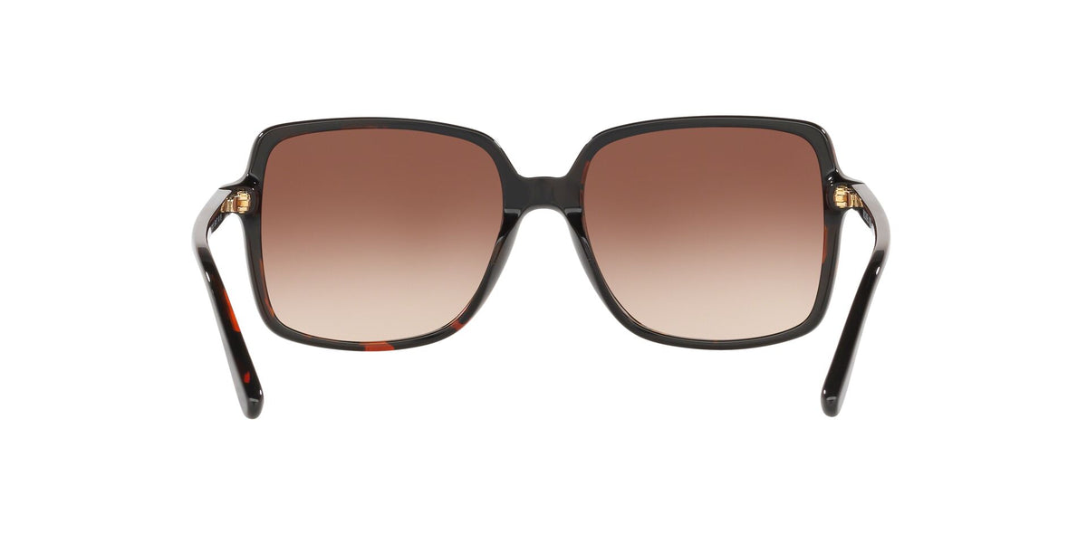 MK2098U Tortoise/Smoke Gradient M