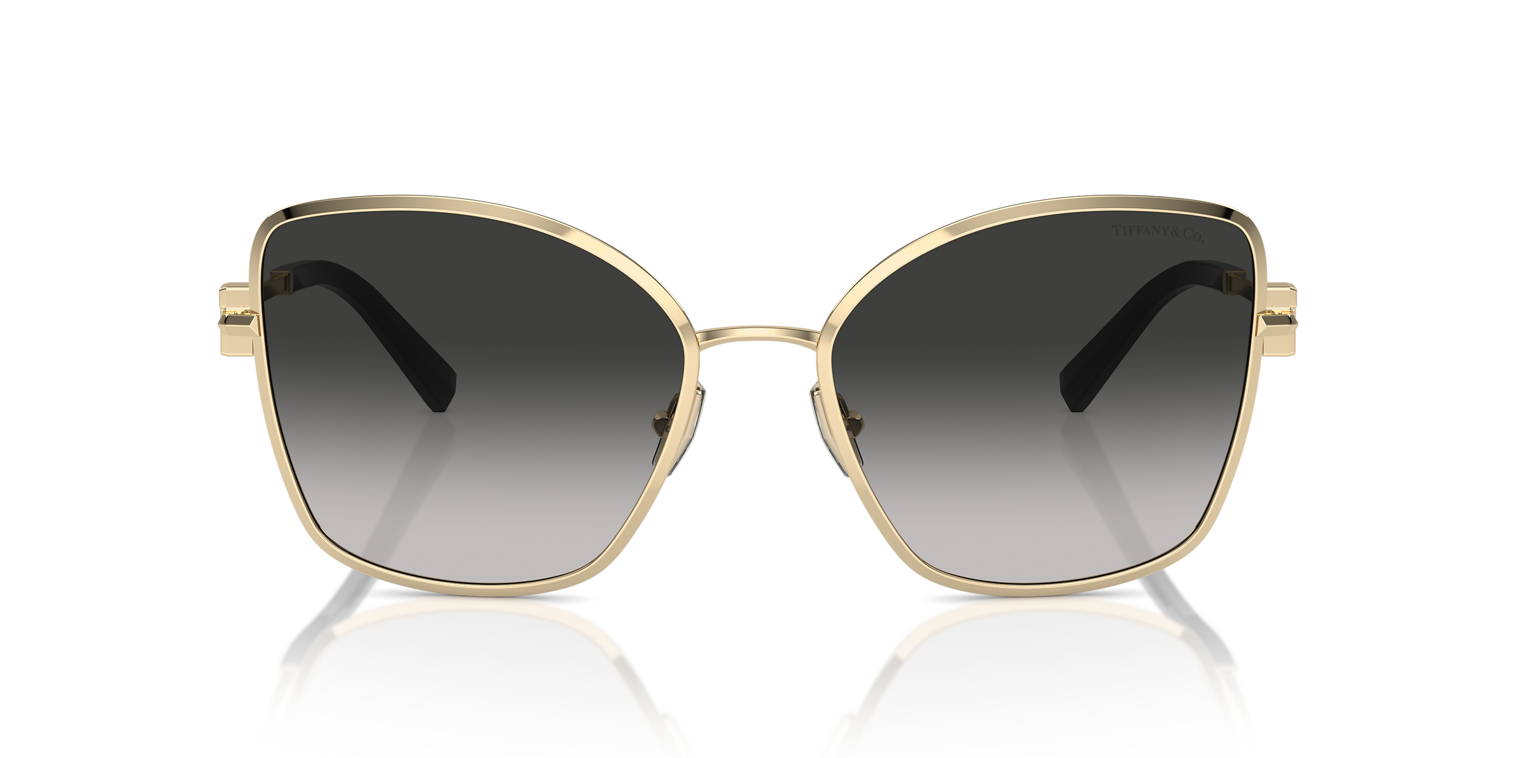 Tiffany & Co. TF3102B
