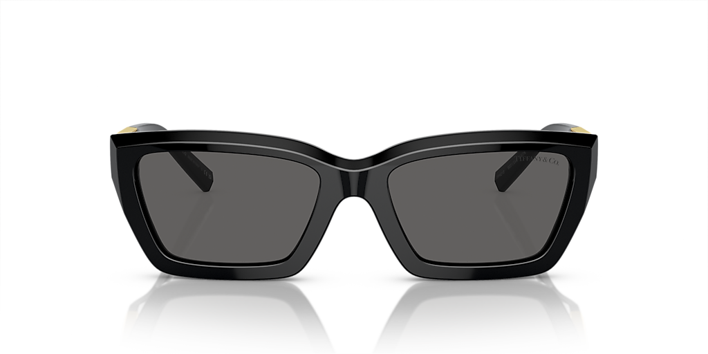 TF4213 Tiffany & Co. Black/Grey S
