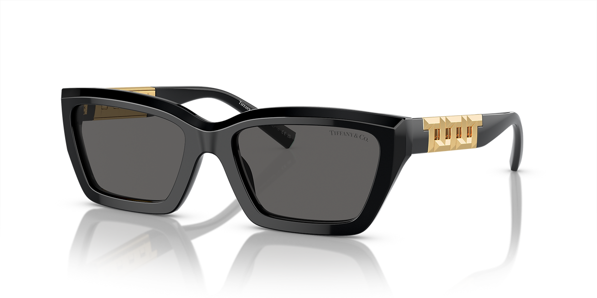 TF4213 Tiffany & Co. Black/Grey S