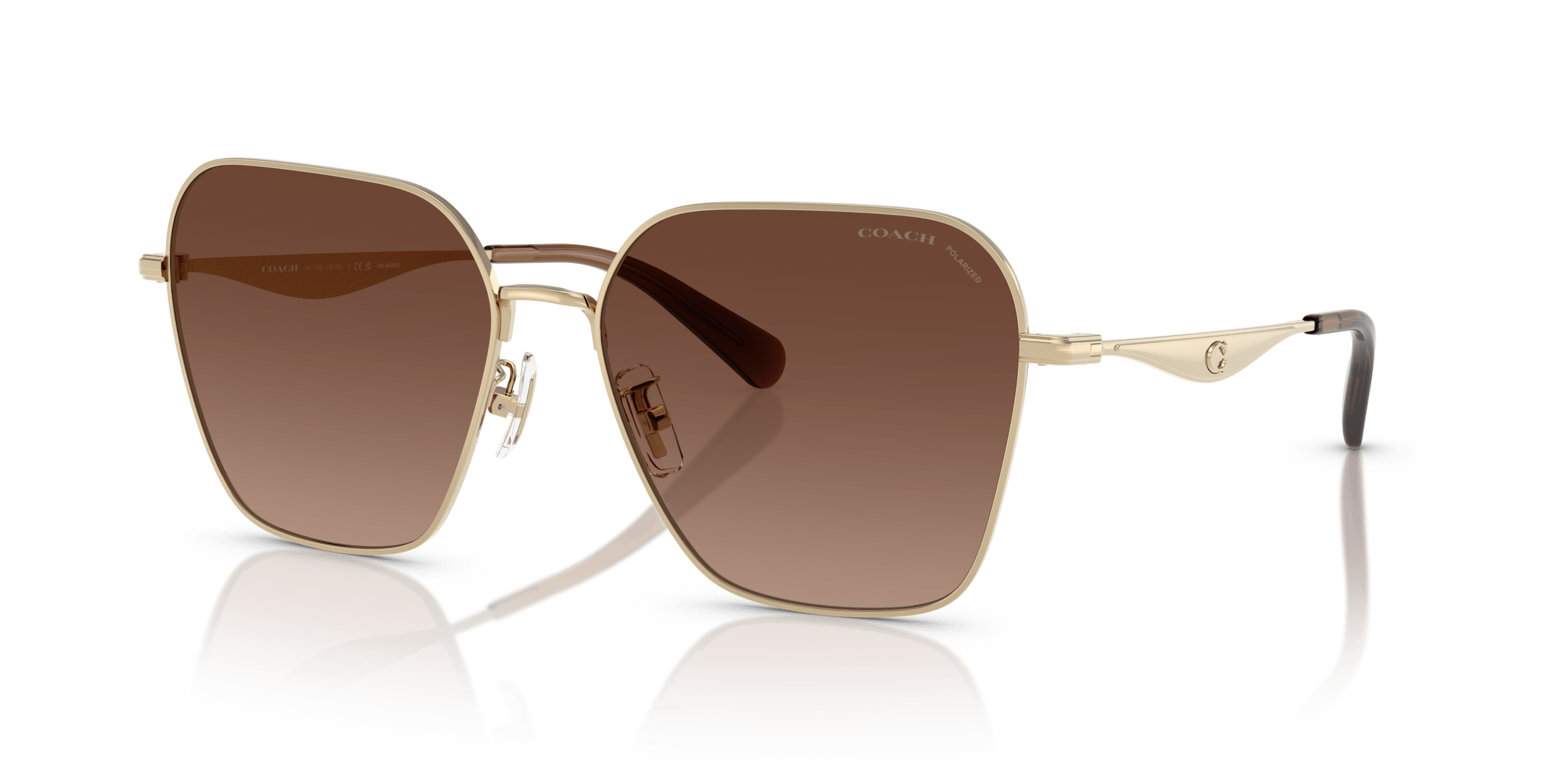 CW189 Coach Gold/Brown XL
