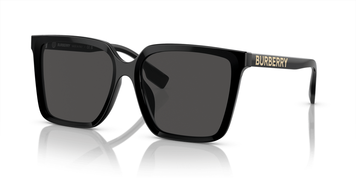 BE4411D BURBERRY Black/Grey L