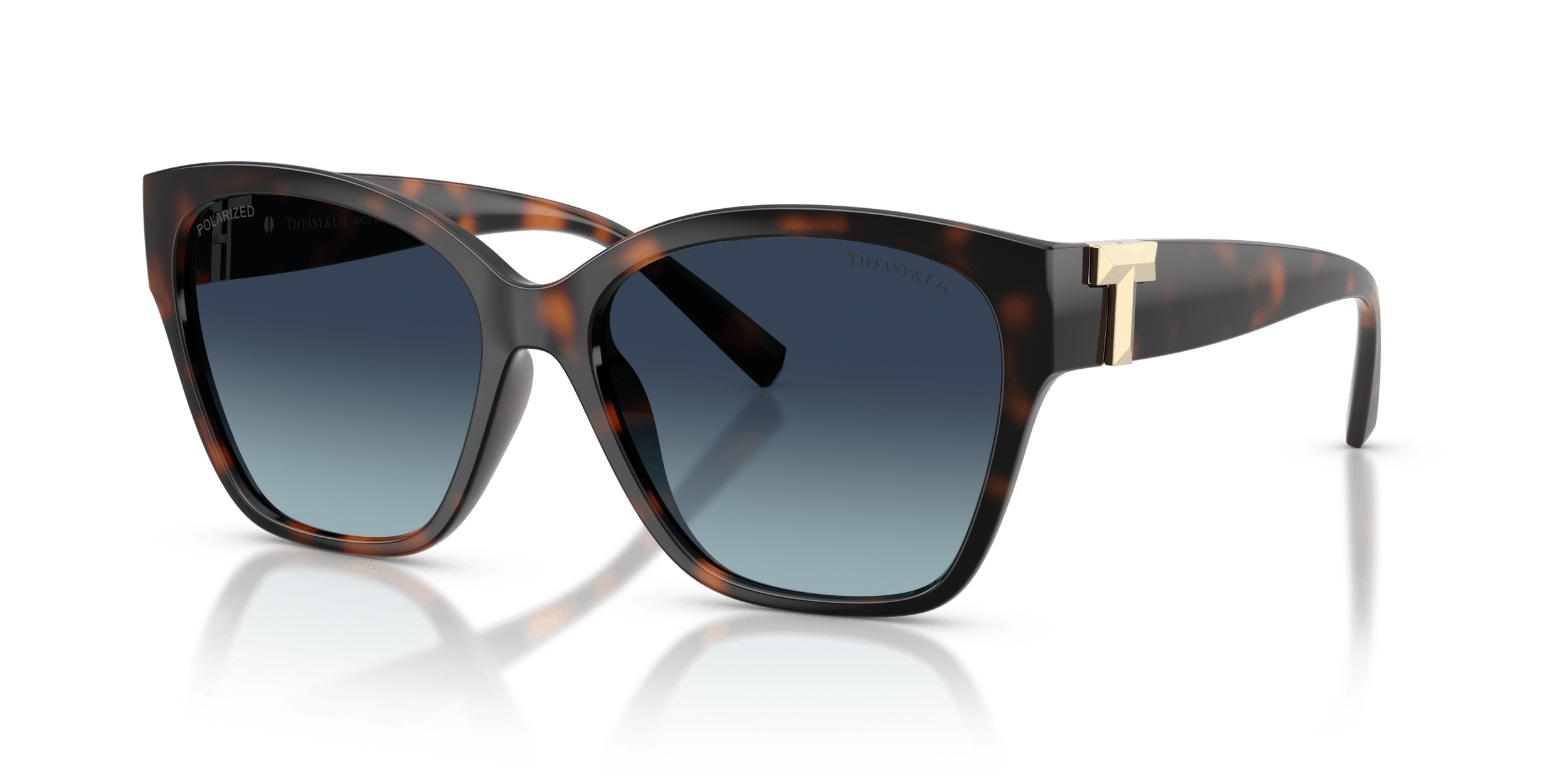 TF4254U TIFFANY Tortoise/Blue XL