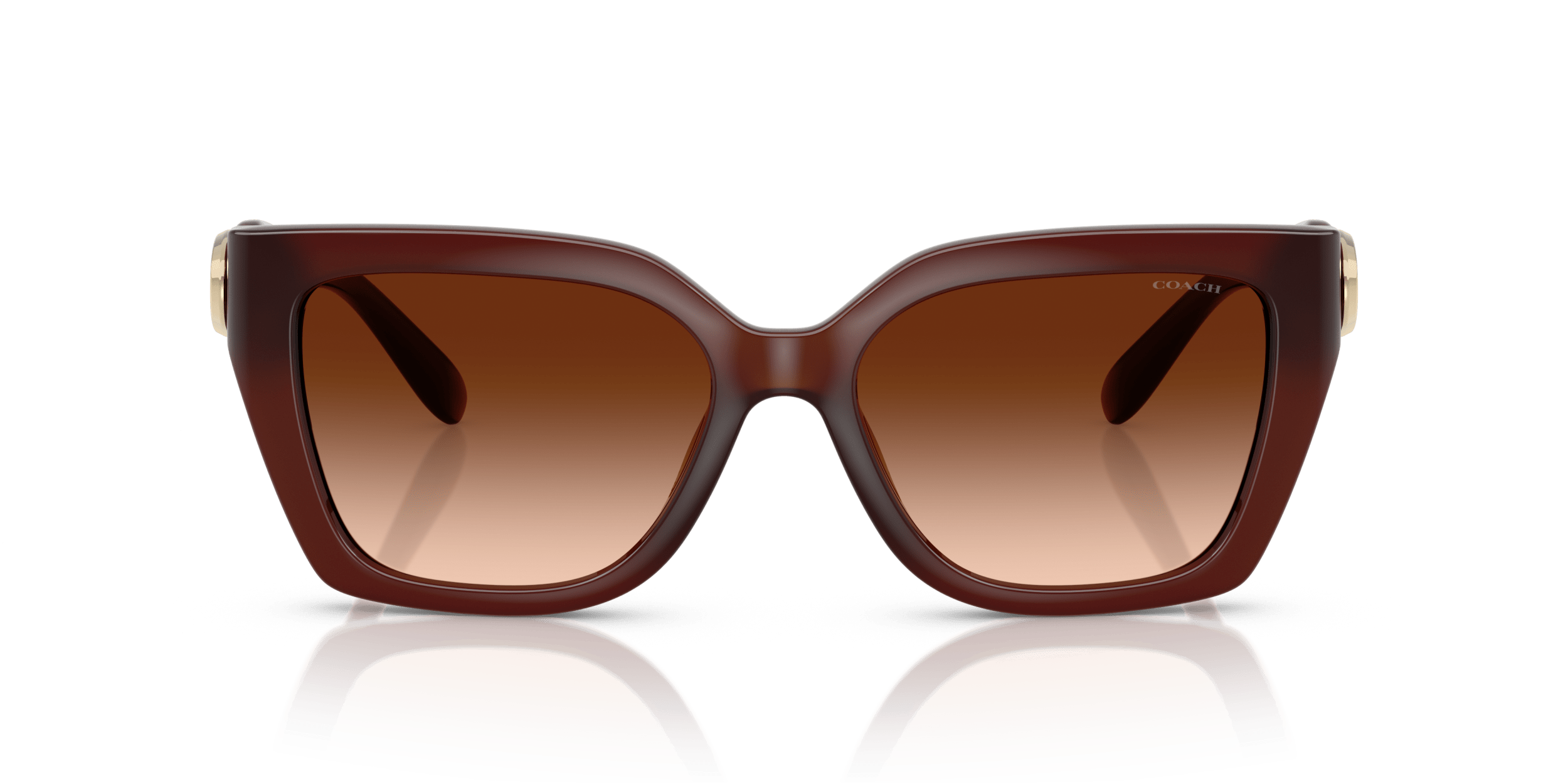 CW195 Coach Brown/Brown M