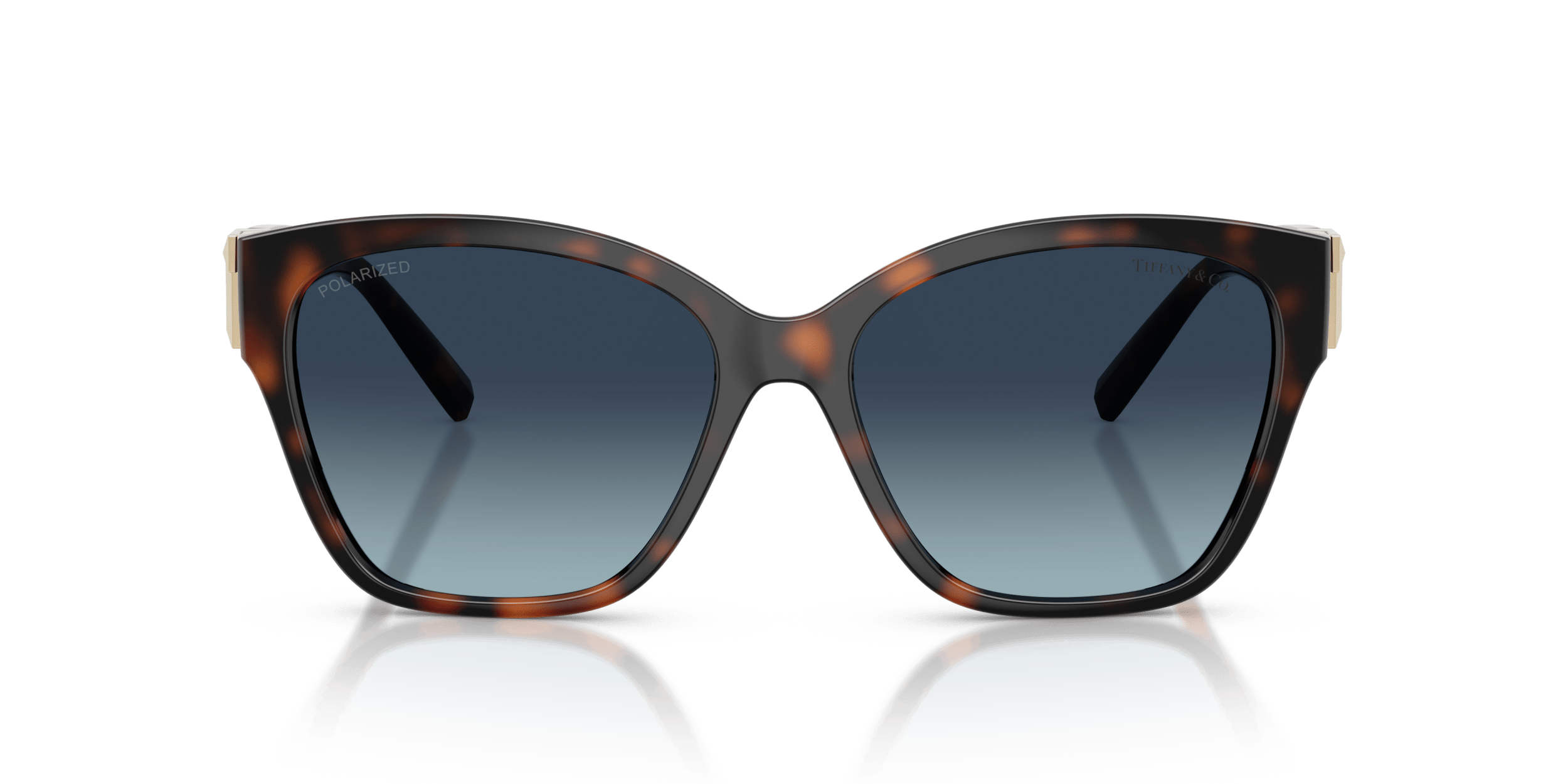 TF4254U TIFFANY Tortoise/Blue XL