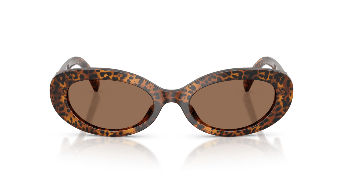 DG4537 DOLCE & GABBANA Brown/Brown S