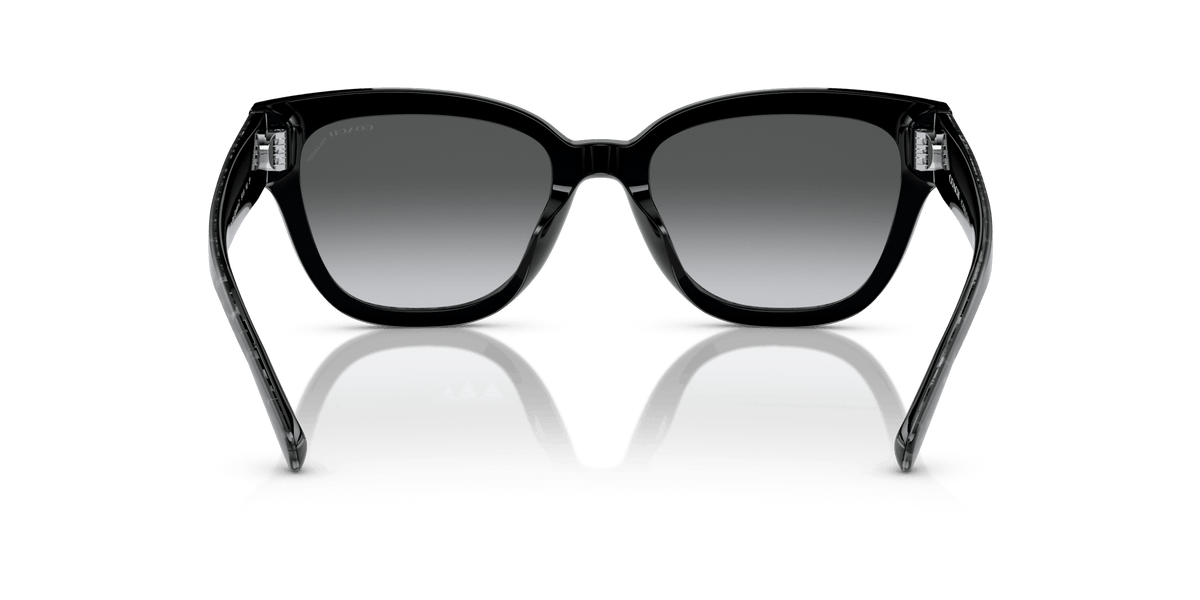CL920 Coach Grey/Grey M