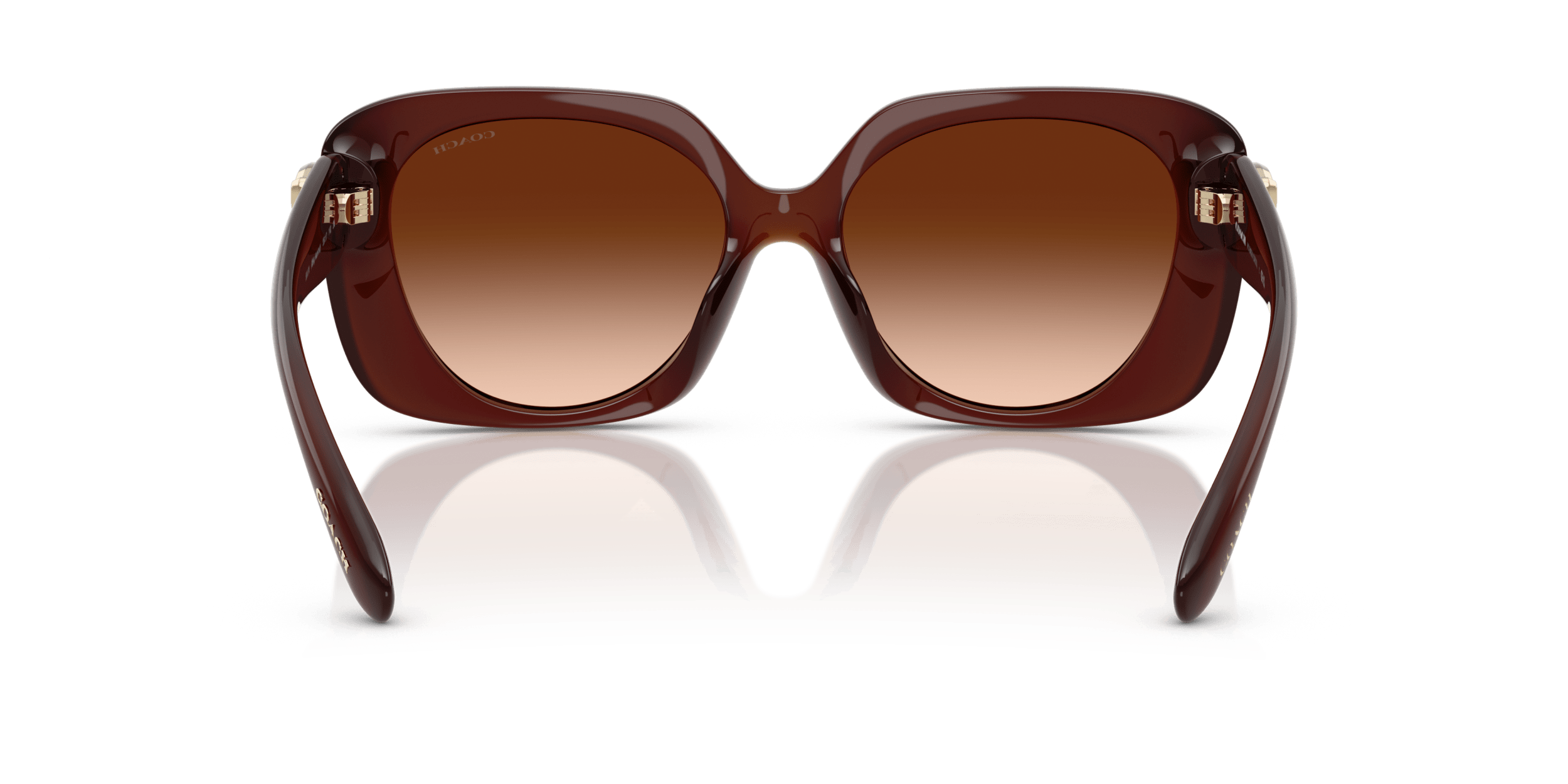 CAD33 Coach Brown/Brown M