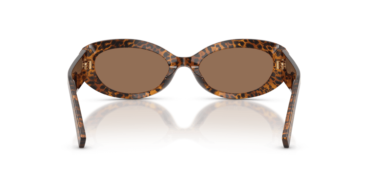 DG4537 DOLCE & GABBANA Brown/Brown S