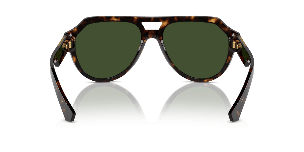 DG4466 DOLCE & GABBANA Tortoise/Green L