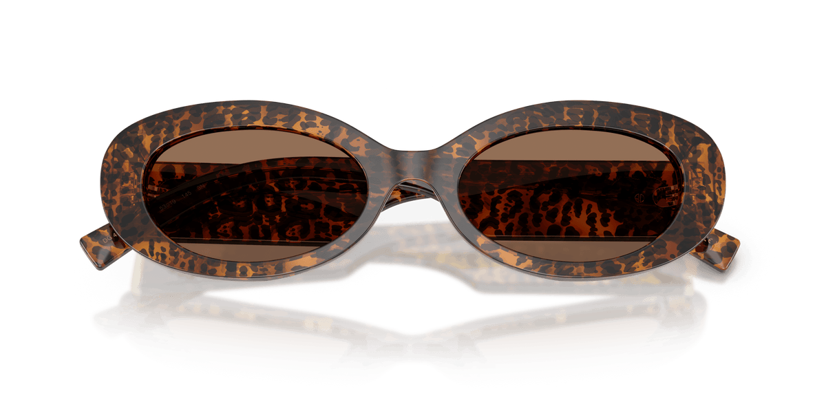 DG4537 DOLCE & GABBANA Brown/Brown S