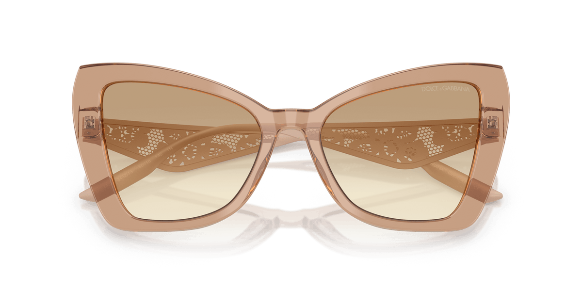DG4489 DOLCE & GABBANA Brown/Brown L