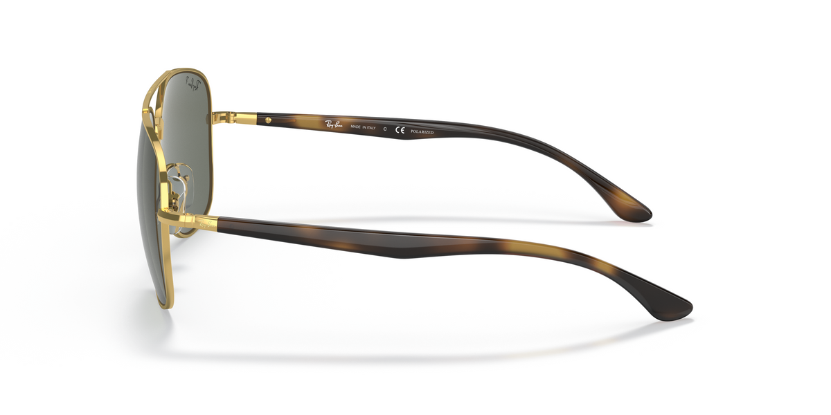 RB3683 Tortoise/Polarized Green Classic G-15/Polarized STD
