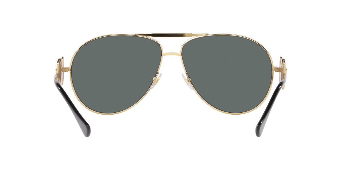 VE2249 Gold/Polar Grey/Polarized