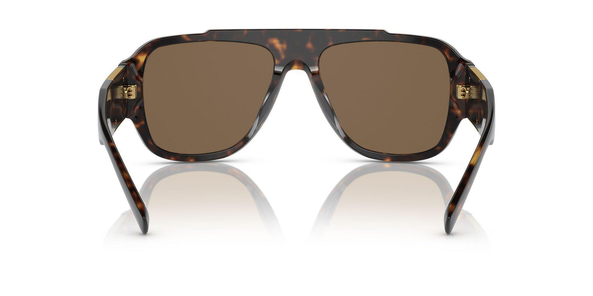 VE4436U Tortoise/Dark Brown L