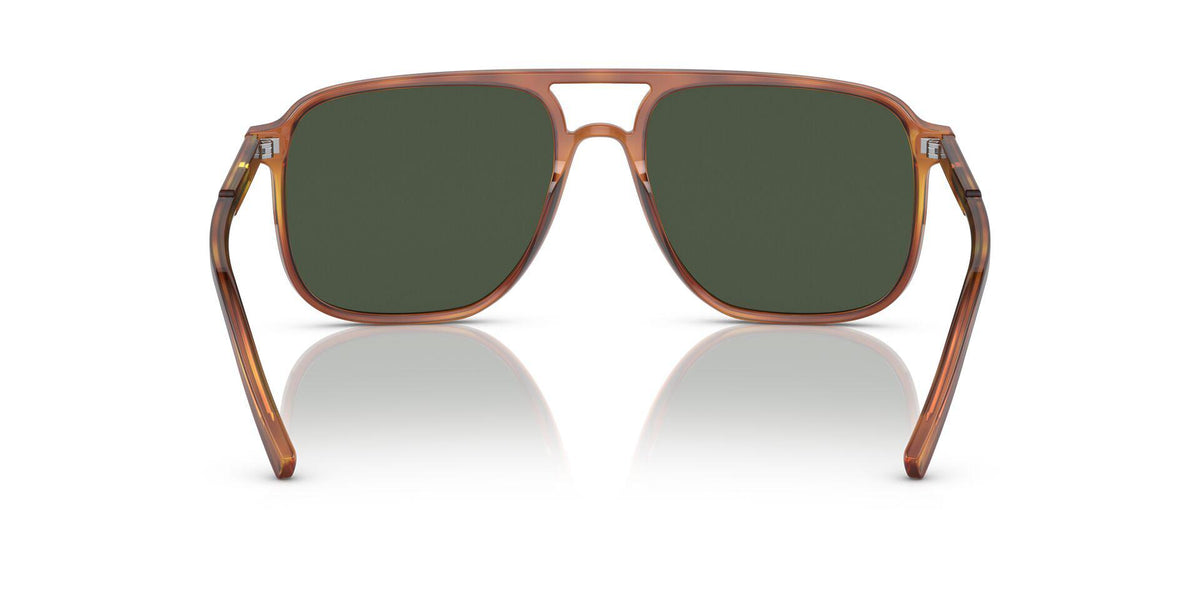DG4423 Tortoise/Dark Green Polarized XL