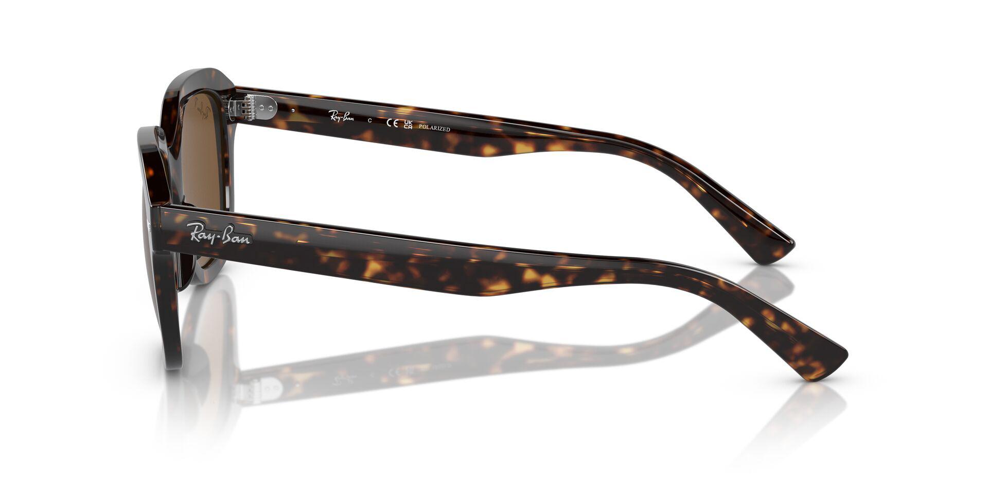 RB4398 Tortoise/Brown/Polarized L