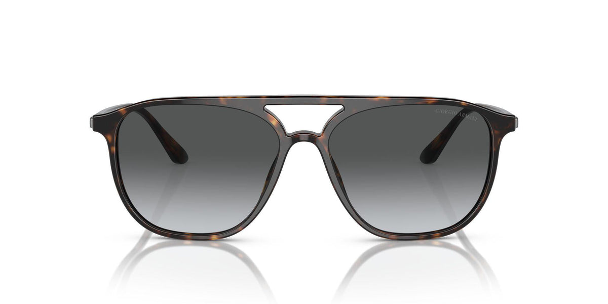 AR8179 Tortoise/Gradient Grey/Polarized XL