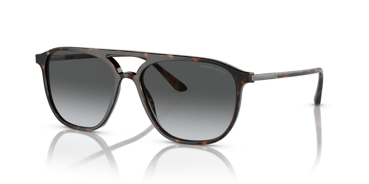 AR8179 Tortoise/Gradient Grey/Polarized XL