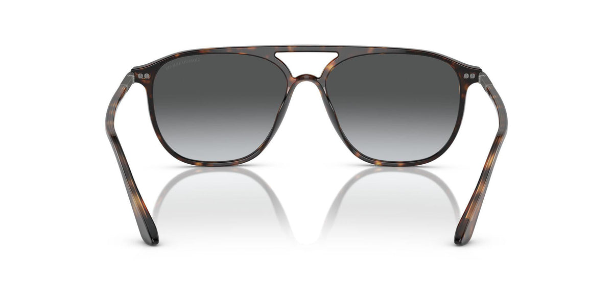 AR8179 Tortoise/Gradient Grey/Polarized XL