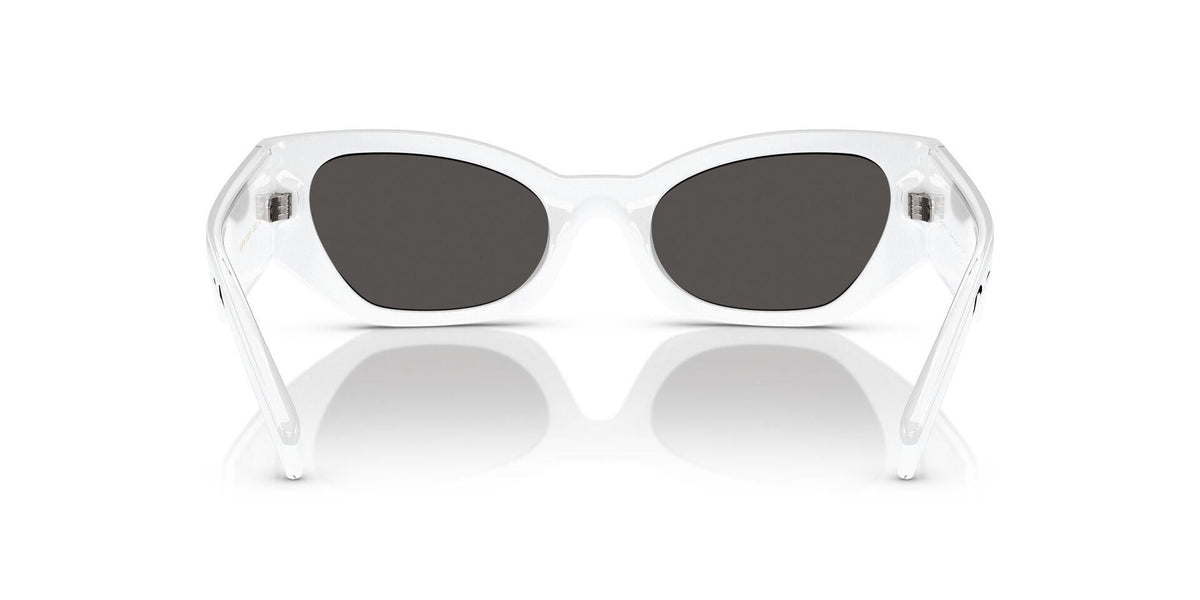 DG6186 Transparent/Dark Grey M