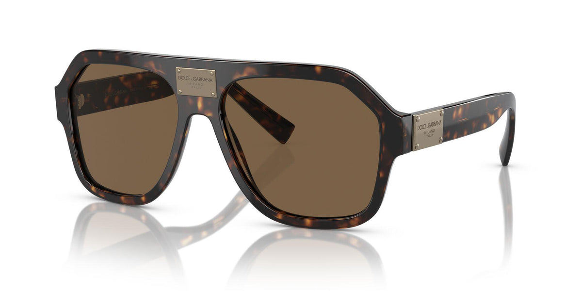 DG4433 Tortoise/Dark Brown L