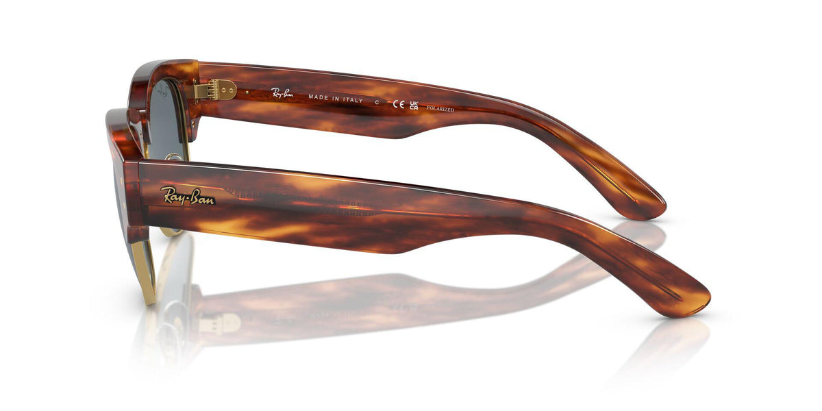 RB0316S Brown/Dark Blue/Polarized XL