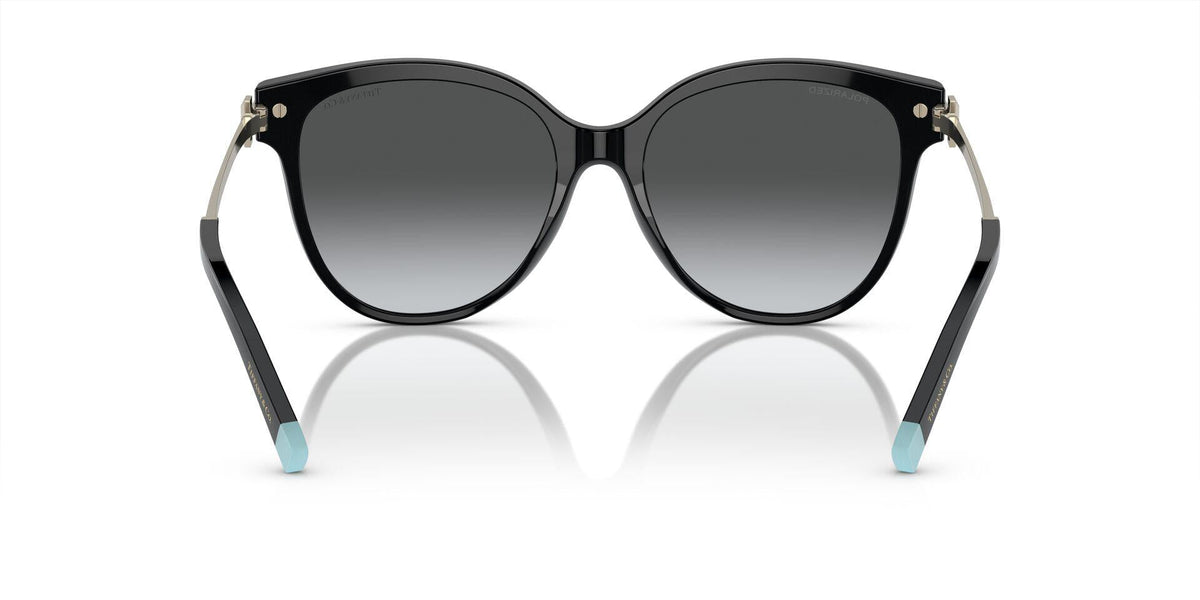 TF4193B Gold/Polar Grey Gradient/Polarized XL