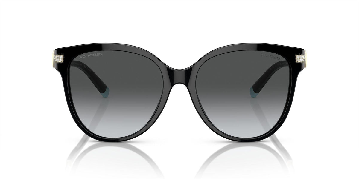 TF4193B Gold/Polar Grey Gradient/Polarized XL
