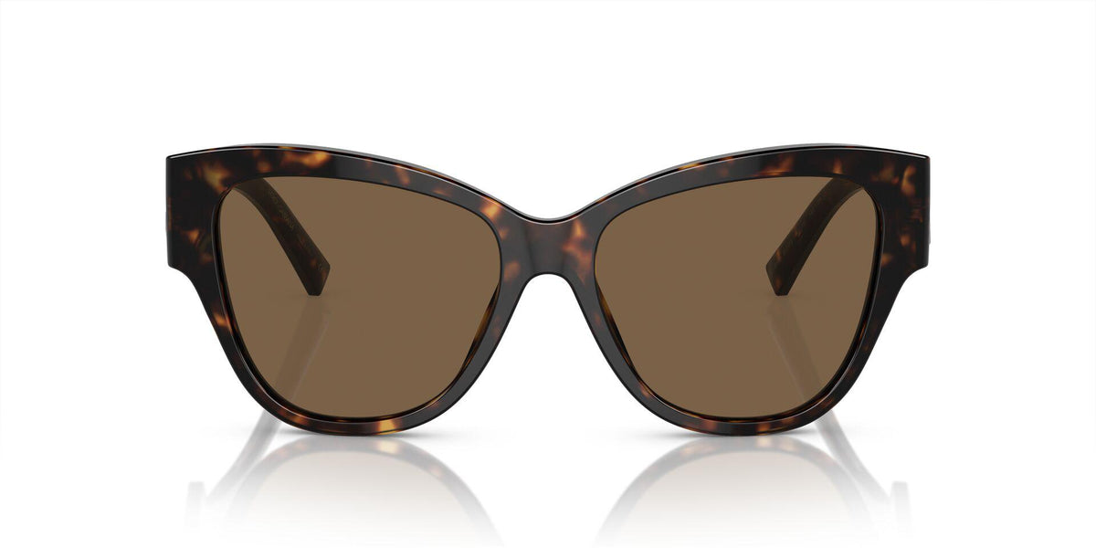 DG4449 Tortoise/Dark Brown M