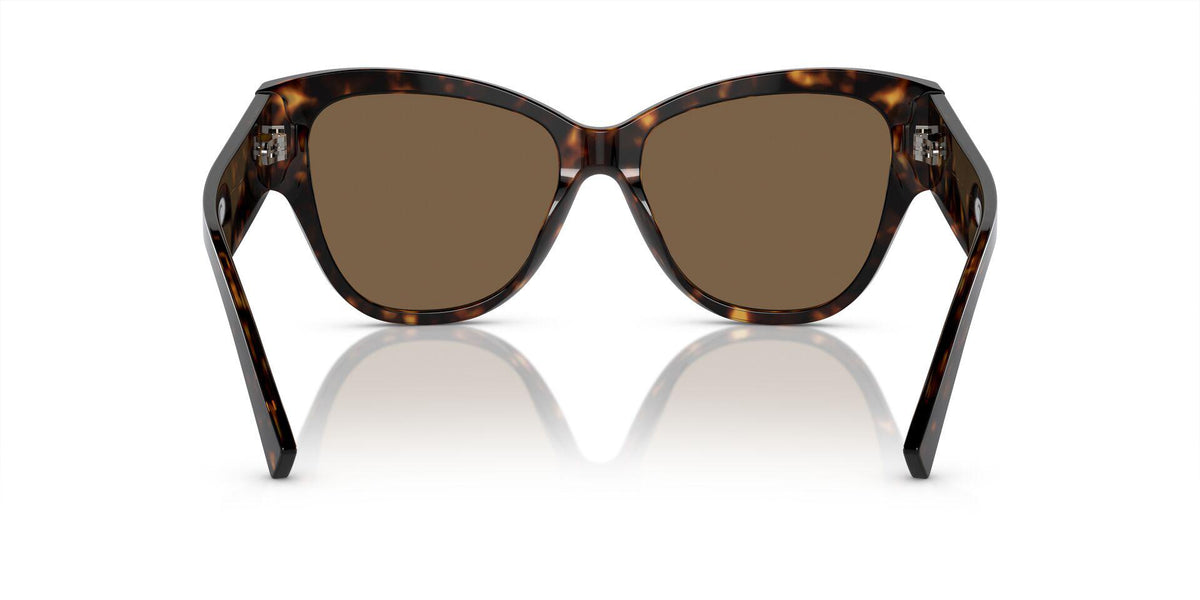 DG4449 Tortoise/Dark Brown M
