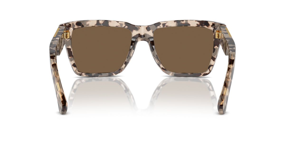 DG4465 Dolce & Gabbana Beige/Brown L