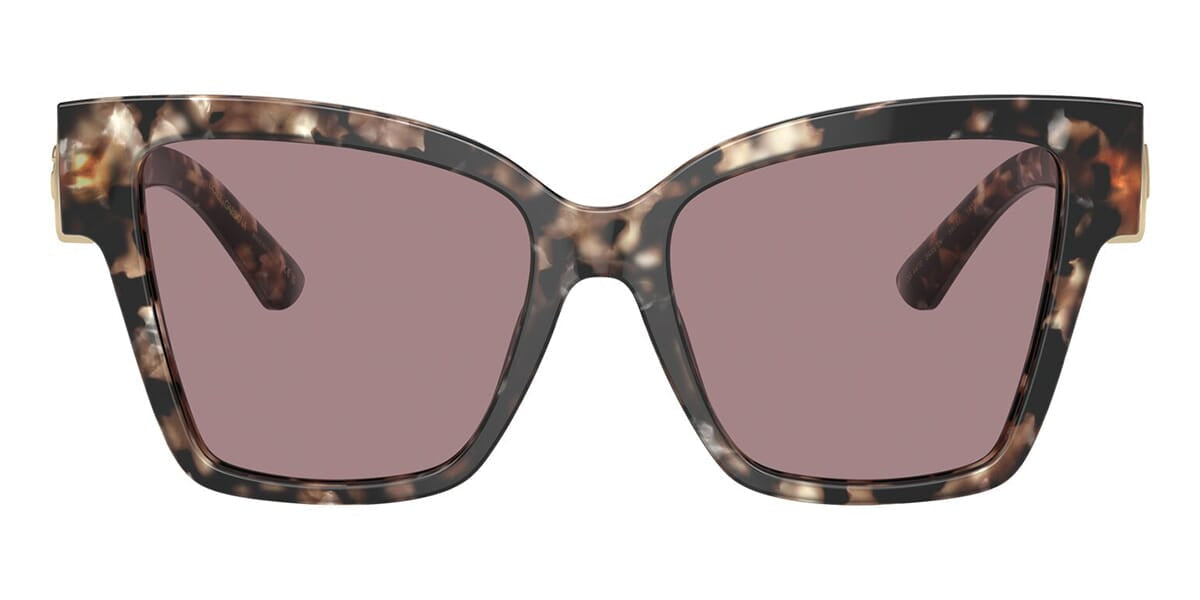 DG4470 Dolce & Gabbana Brown/Purple L