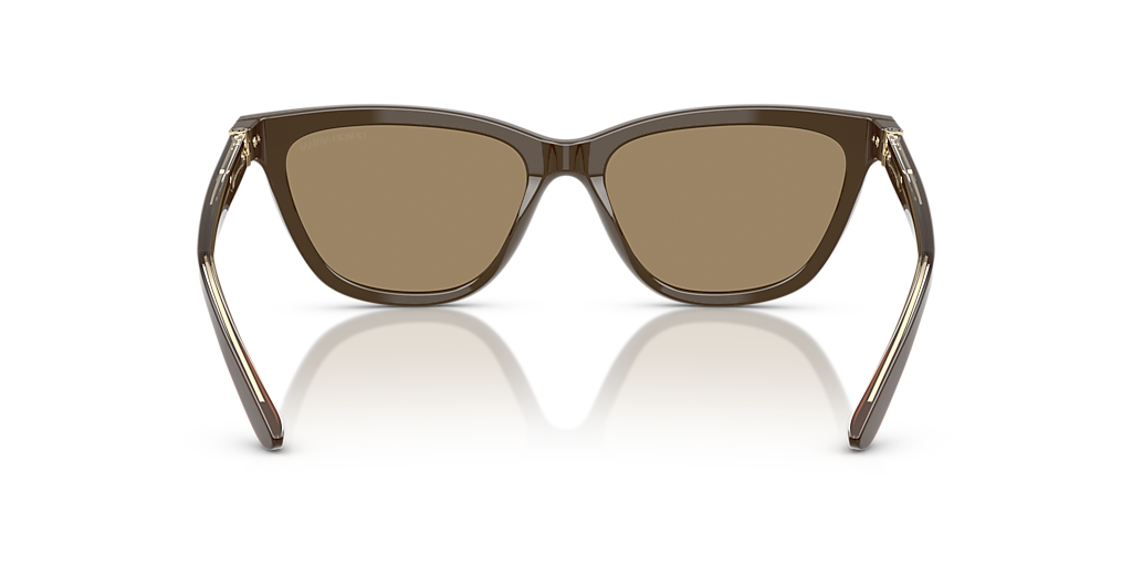AR8221 بني/بني XXL