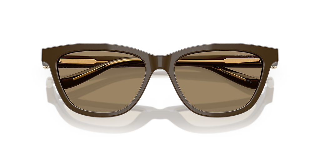 AR8221 بني/بني XXL
