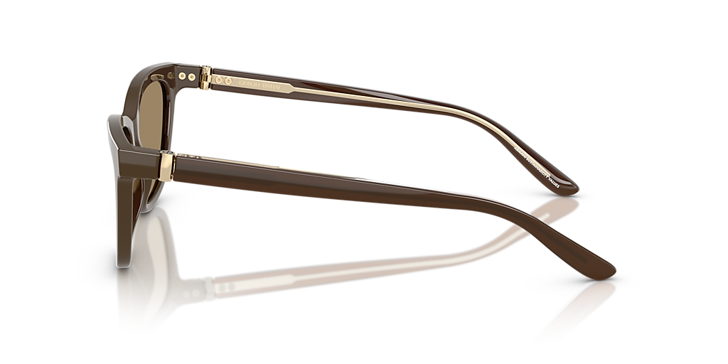 AR8221 بني/بني XXL