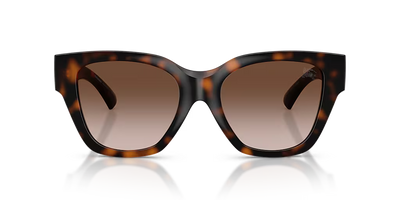 BE4489U BURBERRY Brown/Brown L