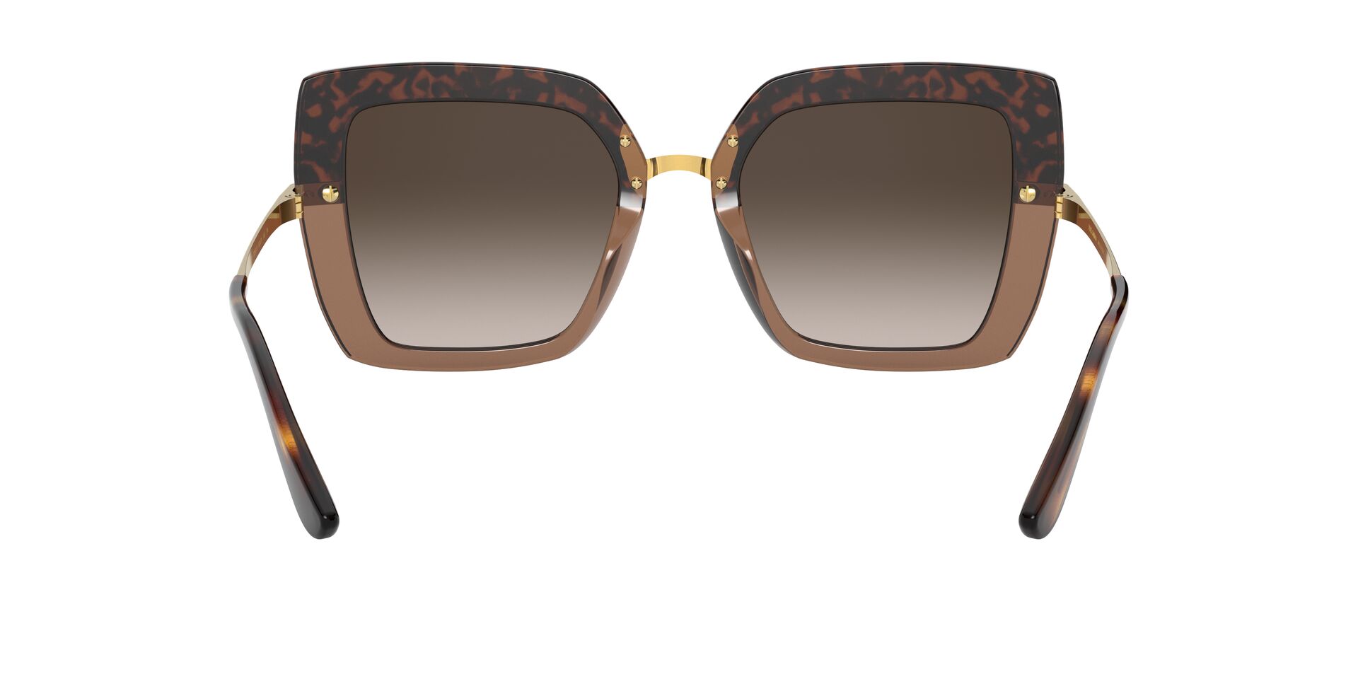 DG4373 Gold/Brown Gradient Dark Brown XL