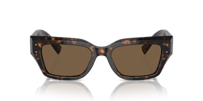 DG4462 Dolce & Gabbana Havana/Brown M
