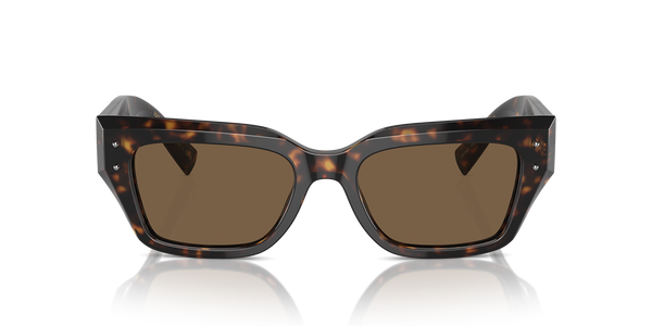 DG4462 Dolce & Gabbana Havana/Brown M