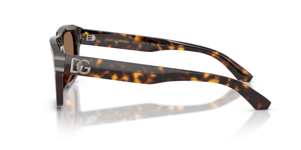 DG4496 دولتشي آند غابانا هافانا/بني L