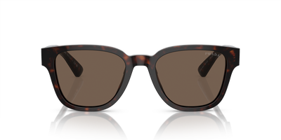 PR A04S Tortoise/Brown M
