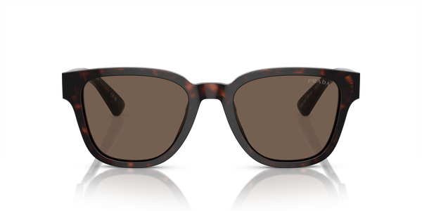 PR A04S Tortoise/Brown M