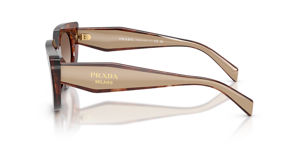 PR D02S برادا بني M