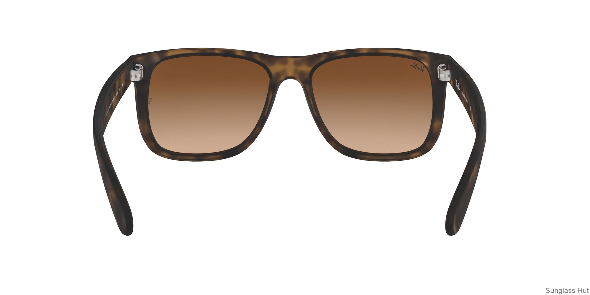 RB4165 Tortoise/Brown Gradient STD