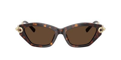 TF4231U Tiffany & Co. Havana/Brown XL